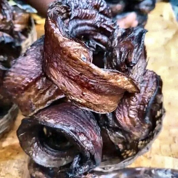 La Kribienne - Poisson fume en couronne Poisson fumé en couronne (Machoiron / Silure fumé)